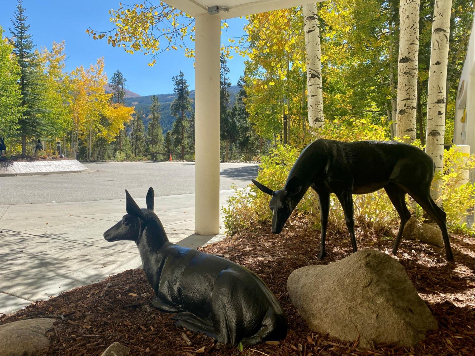 Wild Irishman 1043 By Summitcove Lodging Keystone Exteriér fotografie